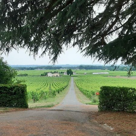 A L'Ombre De La Treille -Proche Saint-Emilion Saint-Magne-de-Castillon Exterior foto