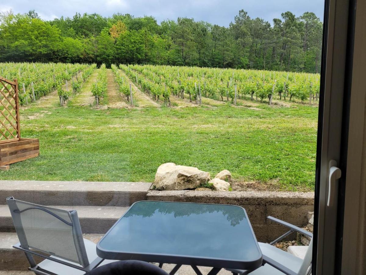 A L'Ombre De La Treille -Proche Saint-Emilion Saint-Magne-de-Castillon Exterior foto
