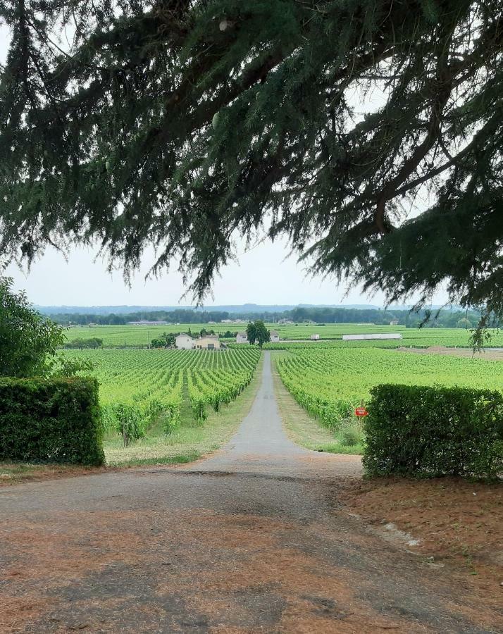 A L'Ombre De La Treille -Proche Saint-Emilion Saint-Magne-de-Castillon Exterior foto
